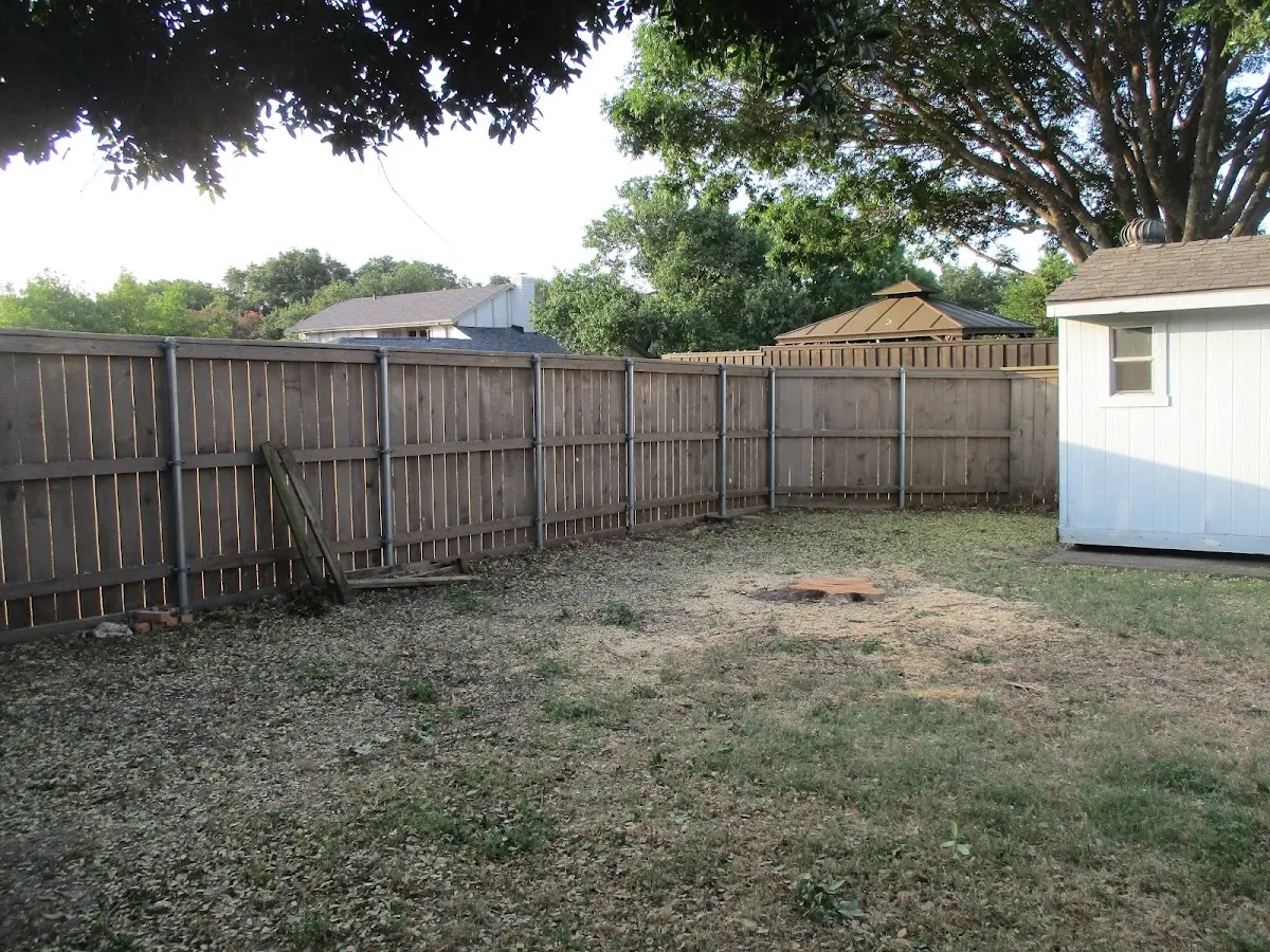 Cleared yard after professional tree removal in Cooke City